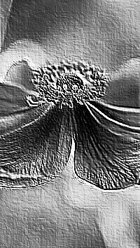 Skamielina