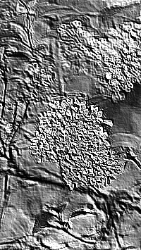 Skamielina