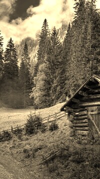 Szary + Sepia