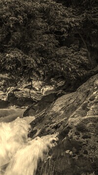 Szary + Sepia