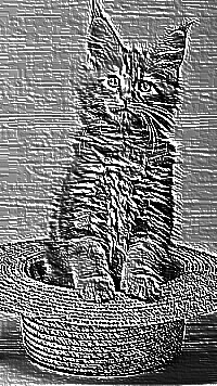 Skamielina