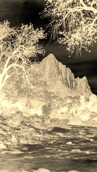Sepia + Negatyw