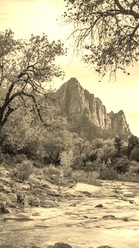Szary + Sepia