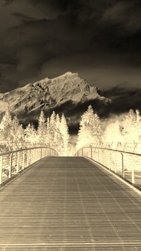 Sepia + Negatyw