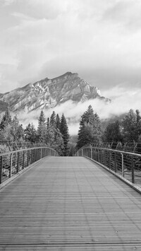 Szary