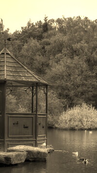 Sepia