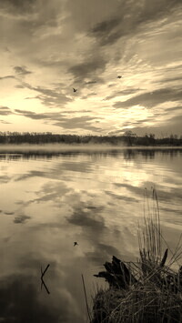 Szary + Sepia