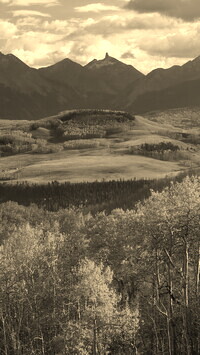 Sepia