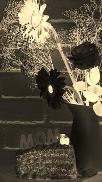 Sepia + Negatyw