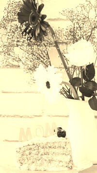 Szary + Sepia