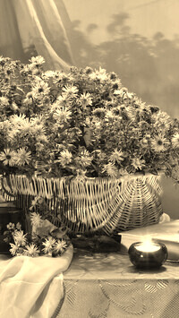 Szary + Sepia