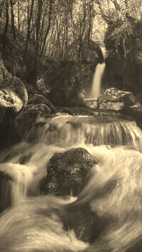 Sepia