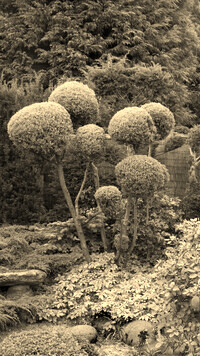 Szary + Sepia