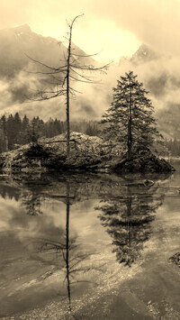 Szary + Sepia