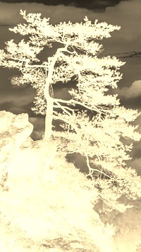 Sepia + Negatyw