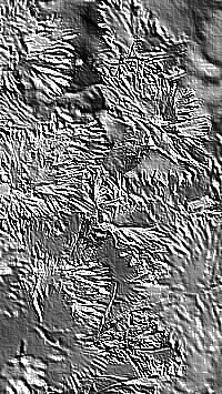 Skamielina