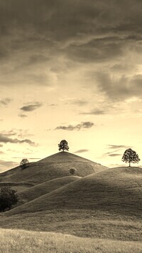 Szary + Sepia