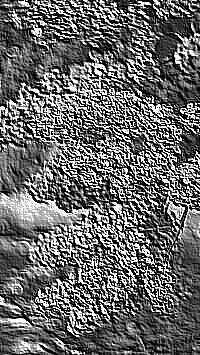 Skamielina
