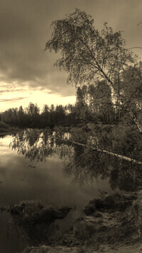 Sepia