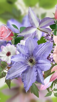Oryginalny obrazek