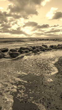 Szary + Sepia