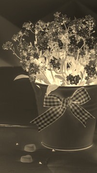 Sepia + Negatyw