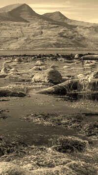 Szary + Sepia