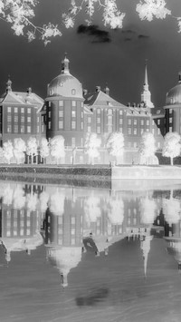 Szary + Negatyw