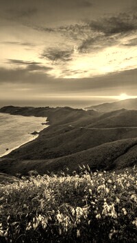 Sepia