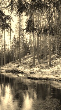 Sepia