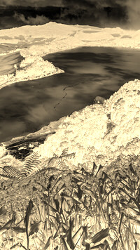 Sepia + Negatyw