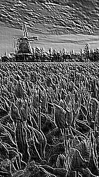 Skamielina