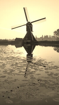 Szary + Sepia