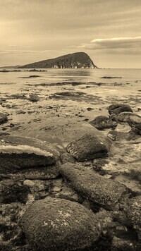Szary + Sepia