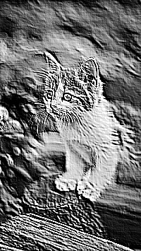 Skamielina