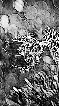 Skamielina