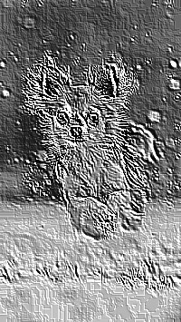 Skamielina