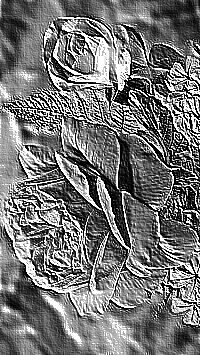 Skamielina