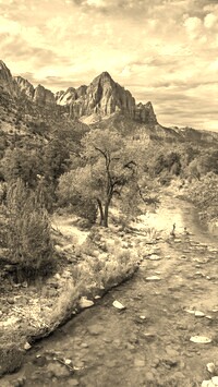 Szary + Sepia