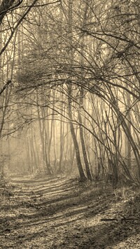Szary + Sepia