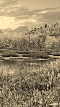 Sepia