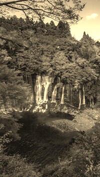 Szary + Sepia