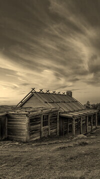 Szary + Sepia