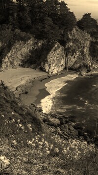 Szary + Sepia