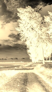 Sepia + Negatyw