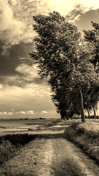 Sepia