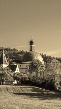 Szary + Sepia