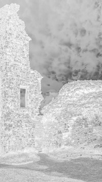 Szary + Negatyw