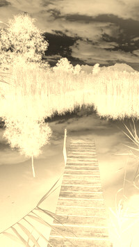 Sepia + Negatyw