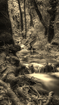 Sepia